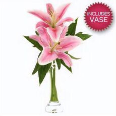 2 Lily Stems In Glass Vase