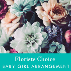 Florists Choice Baby Girl Arrangement