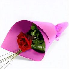 Single Wrapped Red Rose