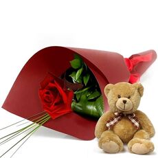 Single Wrapped Rose With Teddy