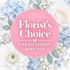 Fresh blooms suitable for a new baby boy and set in to a box