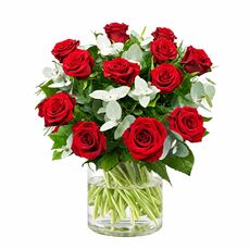 12 red classic roses in a wrapped bunch