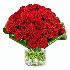Stunning bunch of red red roses designed to impress