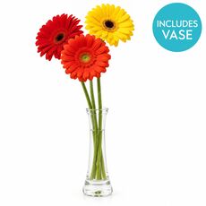 3 bright gerberas in a lovely vase