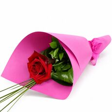 Single red rose only $42.95 and idea for I Love You message