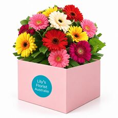 A burst of colour with these bright gerberas set in a box