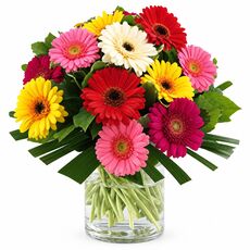 Bright mix of gerberas in a bunch