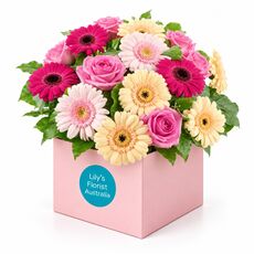 Subtle and elegant pastel gerberas set in a box