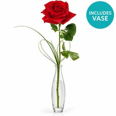 Classic, timeless, stunning single rose in a glass bud vase