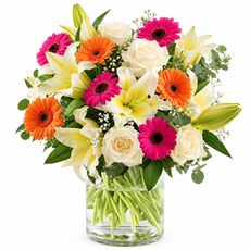 Beautiful mix of bright happy colours