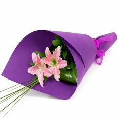 2 beautiful wrapped lily stems lasting for many days