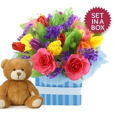 Baby Boy Arrangement with Teddy