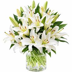 Bunch of fresh oriental lilies
