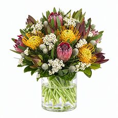 Natives in a pretty bunch wrapped