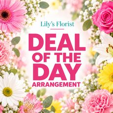 deal of the day florist's choice boxed arrangement