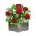 6 Red Roses Arrangement