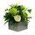 Blissful Botanics Arrangement