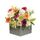 Starburst Arrangement