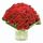 24 Red Roses Bunch