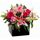 Pink Lily & Rose Arrangement