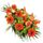 Orange Flower Sheath