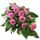 Pink Rose Sheath