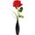Single Red Rose In Glass Vase