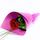 Single Wrapped Red Rose