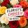12 beautiful roses florist's choice in a bunch desgined to impress