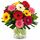 Bright mix of gerberas in a bunch