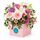 A stunning mix of fresh pastel blooms set in a box for ease of care