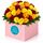 Stunning display of mixed fire coloured roses designed to impress
