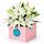 Stylish and simple and smell amazing white lilies in a box