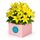 Bright and vibrant yellow lily box to bring sunshine to their day