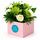 A blissful box of fresh green and cream blooms