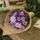 Purple & Lilac Bunch lifestyle image in florist shop