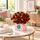 24 red roses set in boxed arrangement
