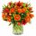 Bunch of bright orange blooms