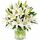 Bunch of fresh oriental lilies