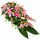 sympathy pink lily and rose sheath