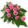 Pink rose sheath for a funeral