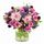 purple and lilac fresh flowers arranged in a bunch