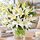 oriental lilies in a bunch ideal for a vase