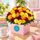 Rose fire red orange yellow roses in a boxed arrangement