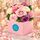 rose garden boxed arrangement