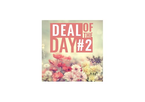 Deal Of The Day Arrangement