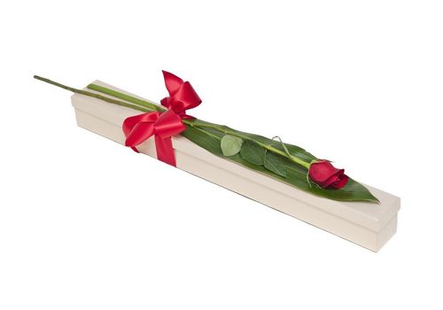 A Single Red Rose In Presentation Box