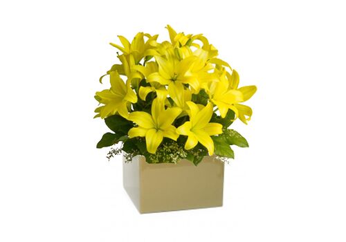 VIP Yellow Lily Arrangement