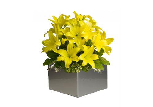 Yellow Lily Arrangement