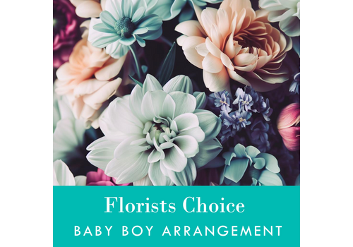 Florists Choice Baby Boy Arrangement
